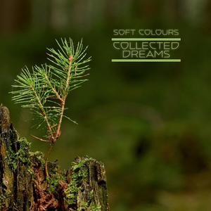 按摩喷潮在线播放无码
