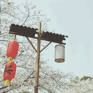 女人下面被艹视频
