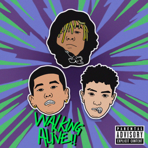 免费无毒不卡AV网站
