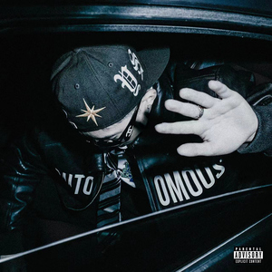 欧美视频第一页
