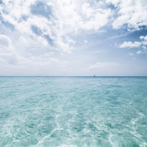 女生脱个精光让男生捅个爽
