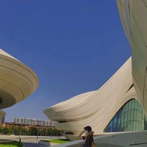 chⅰnese老女人老熟妇HD
