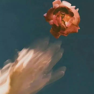 免费无广告黄视频
