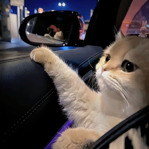 被两个男人绑着玩奶的视频
