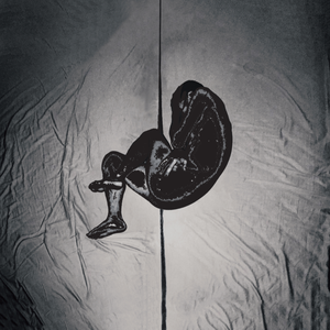 按摩喷潮在线播放无码
