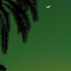 雏田吃大狙漫画
