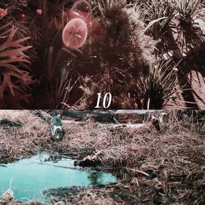 欧美视频第一页
