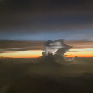 孕育的摇篮之卵官方正版下载
