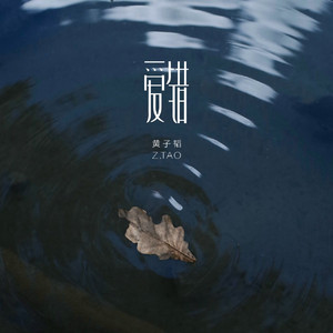 好屌妞操网爱情岛论坛
