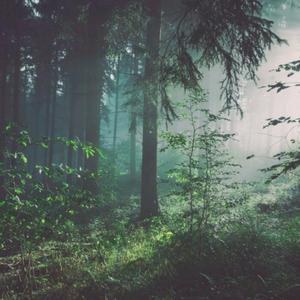 ass裸体浓毛老太婆pics
