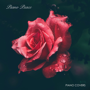 拉拉🈚️码视频在线观看
