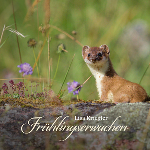 亚洲第一区视频
