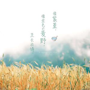 男女亲吻性视频
