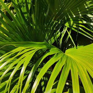 大胸❌挤奶❌真人❌网站
