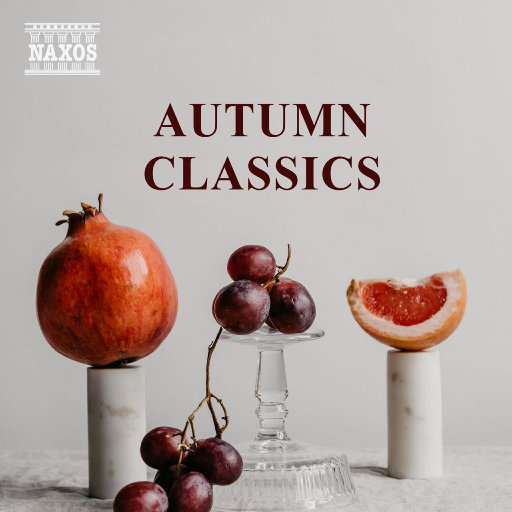 男添女私处视频
