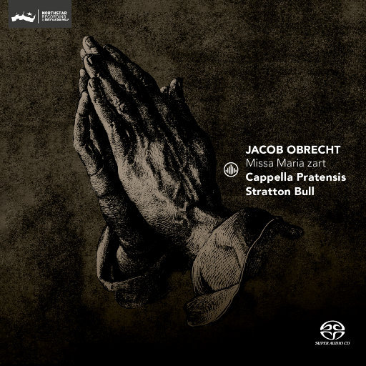 找老阿姨来泻火
